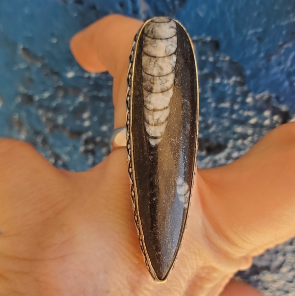 New Oversized Orthoceras Fossil 925 Silver Statement Ring. - Picture 16 of 16